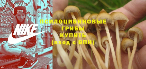 трава Богородицк